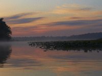 05-07-11-Mattawoman