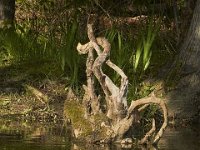 05-07-11-Mattawoman-0229