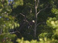 05-30-11-Nanjemoy-1040