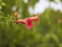 06-18-11-Mattawoman-1816