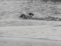 06-24-11-Mattaponi-2164