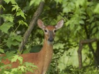 06-26-101-Piscataway-2600