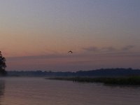 07-02-11-Mattawoman