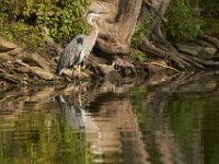 07-04-11-Triadelphia Lake-3547