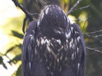 07-09-11-West Rocky Gorge-3709