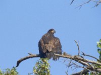 07-09-11-West Rocky Gorge-3746