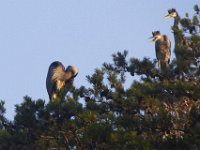 07-16-11-Skipton Creek-3995