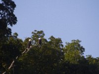 07-16-11-Skipton Creek-4126