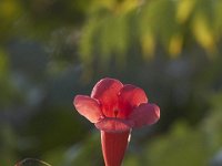 07-30-11-Mattawoman-7040