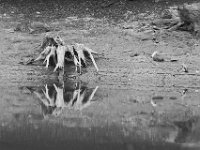 08-21-11-Rocky Gorge-8003
