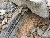 09-03-11-Rocky Gorge-8237
