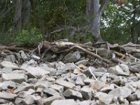 09-03-11-Rocky Gorge-8246