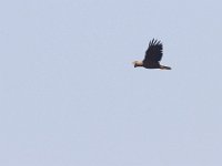 09-04-11-Nanjemoy-8476