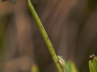09-04-11-Nanjemoy-8623