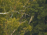 09-04-11-Nanjemoy-8696