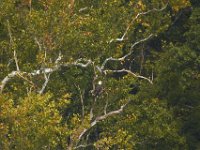 09-04-11-Nanjemoy-8702