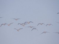 10-23-11-St Marys Lake-0846