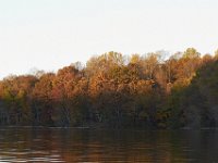 11-05-11-Rocky Gorge-1246