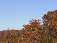 11-05-11-Rocky Gorge-1343