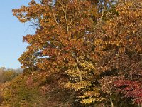 11-05-11-Rocky Gorge-1355