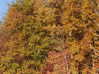 11-05-11-Rocky Gorge-1397