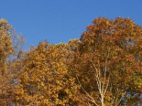 11-05-11-Rocky Gorge-1399