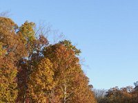 11-05-11-Rocky Gorge-1428