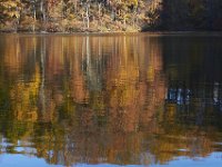 11-05-11-Rocky Gorge-1542