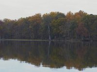 11-06-11-Mattawoman-1804