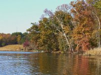 11-06-11-Mattawoman-2065