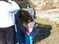 11-12-11-Assateague-2234