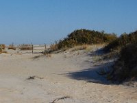11-12-11-Assateague-2239