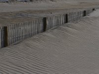 11-12-11-Assateague-2325