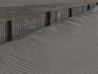 11-12-11-Assateague-2329