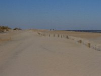 11-12-11-Assateague-2330