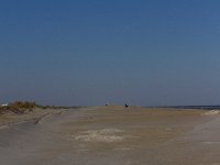11-12-11-Assateague-2348