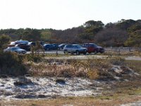 11-12-11-Assateague-2464