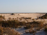 11-12-11-Assateague-2469