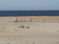 11-12-11-Assateague-2470