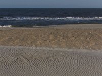 11-12-11-Assateague-2481