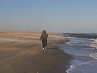 11-12-11-Assateague-2509