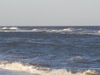 11-12-11-Assateague-2569