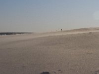 11-12-11-Assateague-2575