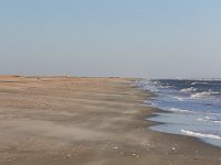 11-12-11-Assateague-2580