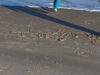 11-12-11-Assateague-2607