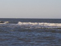 11-12-11-Assateague-2647