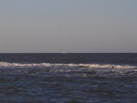 11-12-11-Assateague-2648