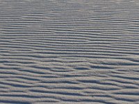 11-12-11-Assateague-2665