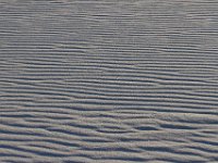 11-12-11-Assateague-2668