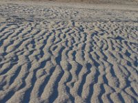 11-12-11-Assateague-2681